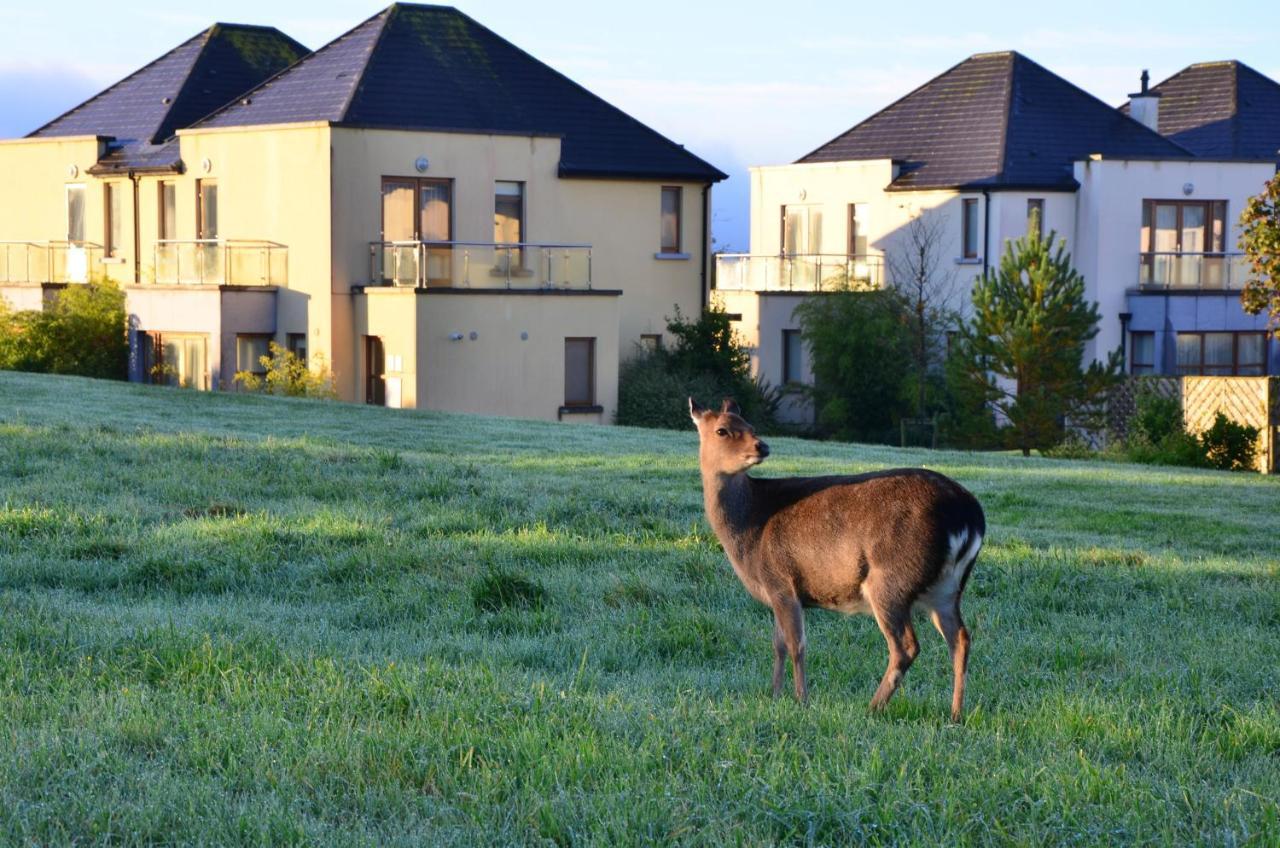 Waterford Castle Hotel & Golf Resort Ballinakill  Eksteriør bilde