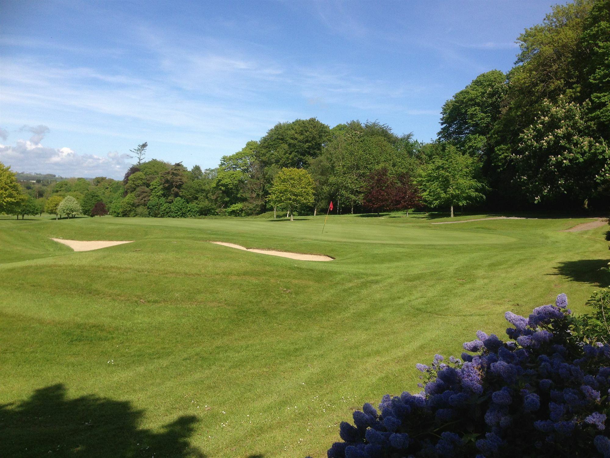 Waterford Castle Hotel & Golf Resort Ballinakill  Eksteriør bilde